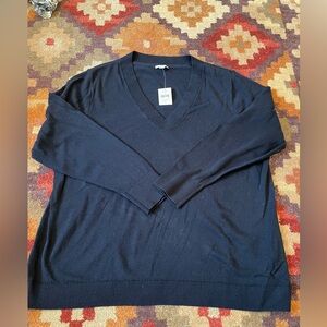 J. Jill Women's Navy V-Neck Sweater